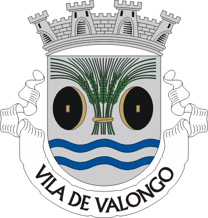Brasão de Valongo (city)