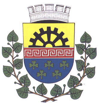 Arms (crest) of Velký Šenov