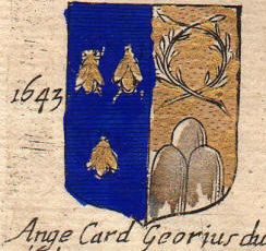Arms of Angelo Giori