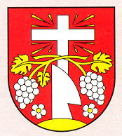 Veľký Biel (Erb, znak)