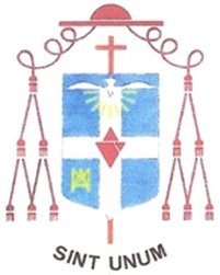Arms (crest) of António de Sousa Braga