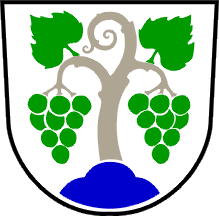 Coat of arms (crest) of Vipava