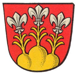 Wappen von Lauterbach (Hessen)