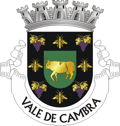 Brasão de Vale de Cambra