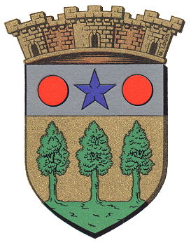 Blason de Monêtier-Allemont / Arms of Monêtier-Allemont