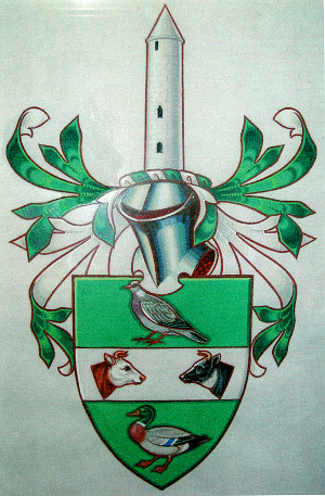 Arms (crest) of Enniskillen RDC