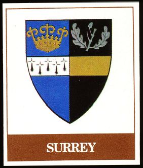 File:Surrey.lyons.jpg