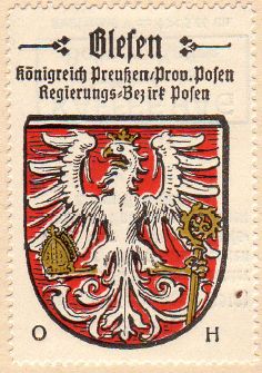 Coat of arms (crest) of Bledzew