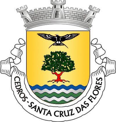 Brasão de Cedros