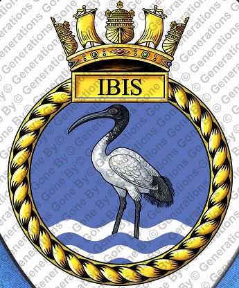File:HMS Ibis, Royal Navy.jpg