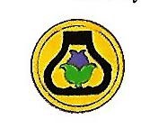 File:21st Cavalry Division, USA1.jpg