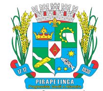 Arms (crest) of Pirapetinga