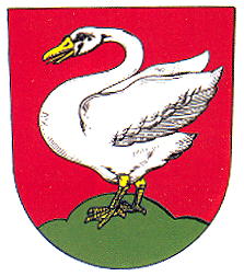 Arms of Černošín