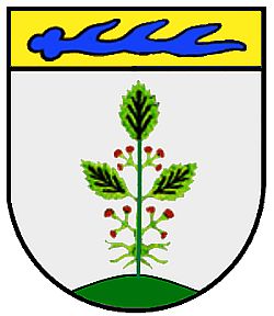 Wappen von Raithaslach/Arms of Raithaslach