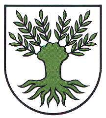 Wappen von Widen / Arms of Widen