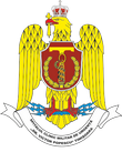 Coat of arms (crest) of the Dr. Victor Popescu Military Emergency Clinical Hospital, Timișoara, Romania