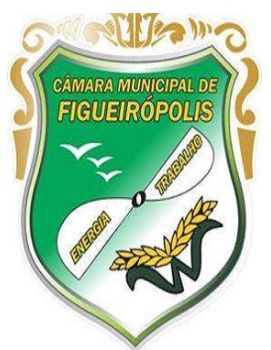 File:Figueirópolis.jpg