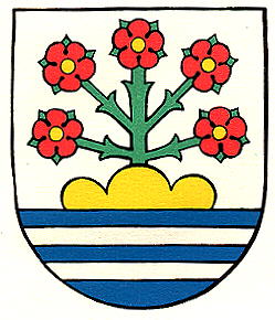 Wappen von Rorschacherberg / Arms of Rorschacherberg