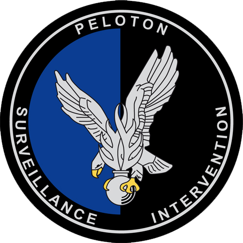 Blason de Surveillance and Intervention Platoon of the Gendarmerie ...