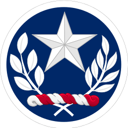 File:Texas Element Joint Force Headquarters, Texas Army National Guard.png