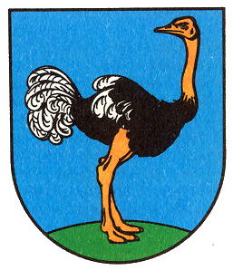 Strausb2.jpg