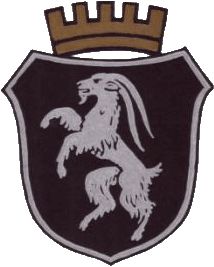 Wappen von Stein-Bockenheim/Arms of Stein-Bockenheim