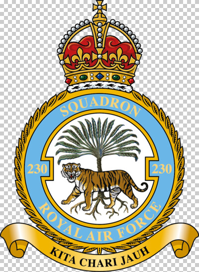 File:No 230 Squadron, Royal Air Force1.jpg