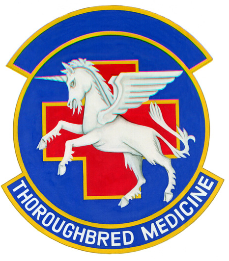 File:123rd Tactical Hospital, US Air Force.png