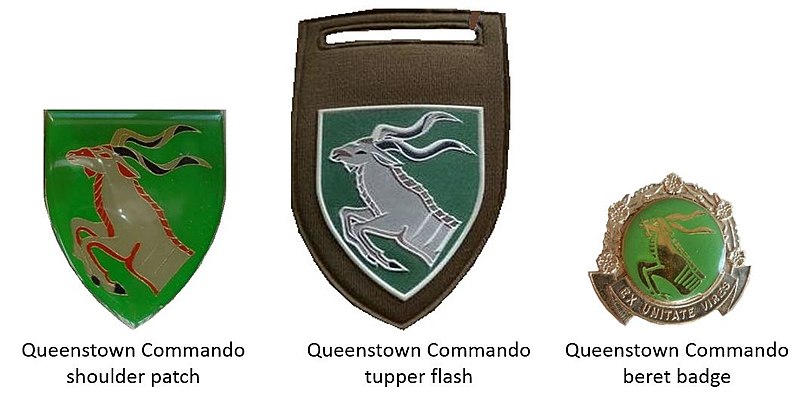 Coat of arms (crest) of the Queenstown Commando, South African Army