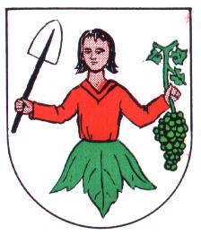 Wappen von Oberschüpf / Arms of Oberschüpf