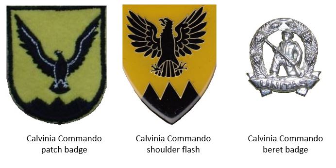 Coat of arms (crest) of the Calvinia Commando, South African Army