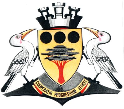 Arms (crest) of Central Transitional District Council