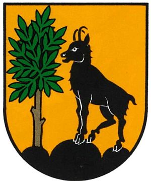 Wappen von Bad Ischl/Arms of Bad Ischl