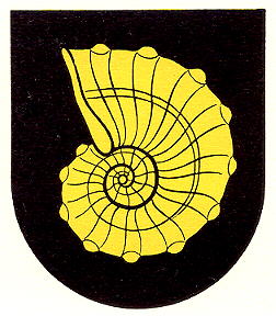 Wappen von Bronschhofen/Arms of Bronschhofen