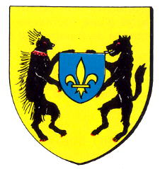Blason de Blois / Arms of Blois