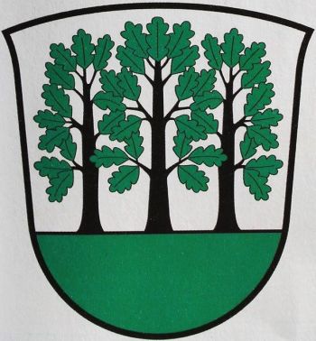 Wappen von Echem/Arms of Echem
