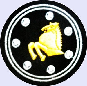 Coat of arms (crest) of the 6th Armoured Division, Pakistan Army