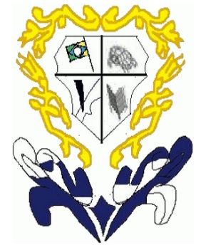 Brasão de Tapauá/Arms (crest) of Tapauá
