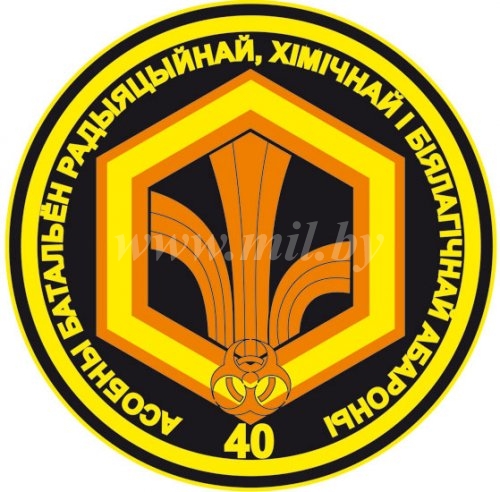 File:40th Separate Radiation, Biologial and Chemical Defence Battalion, Land Forces of Belarus.jpg