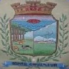Coat of arms (crest) of Santa Cruz del Sur