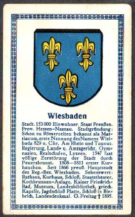Markenqualität Aufbügler Wappen von Wiesbaden Bügelbild 
