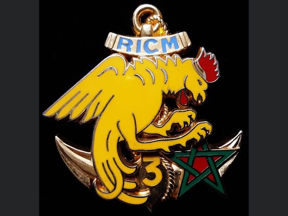 File:3rd Squadron, Marine Infantry Tank Regiment, French Army.jpg