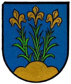 Wappen von Enger