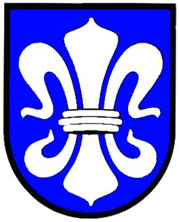 Wappen von Ingstetten / Arms of Ingstetten