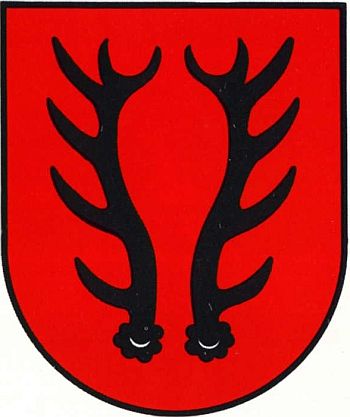 Arms of Szlichtyngowa