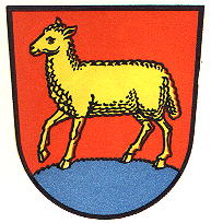 Wappen von Selters (Westerwald) / Arms of Selters (Westerwald)