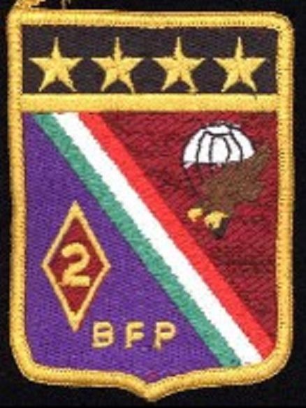 File:2nd Parachute Fusiliers Battalion, Mexican Air Force.jpg
