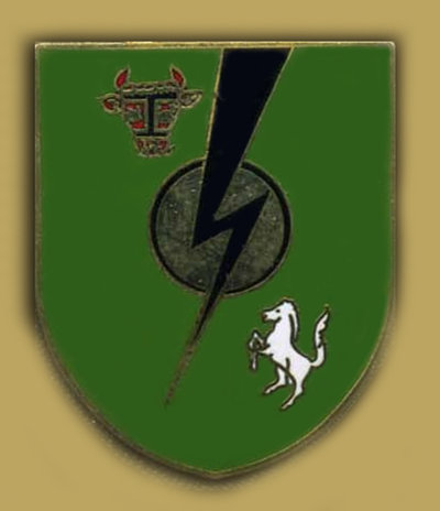 File:Signal Battalion 110, German Army.png
