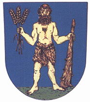 Arms of Žehušice