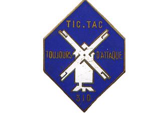 File:310th Infantry Regiment, French Army.jpg